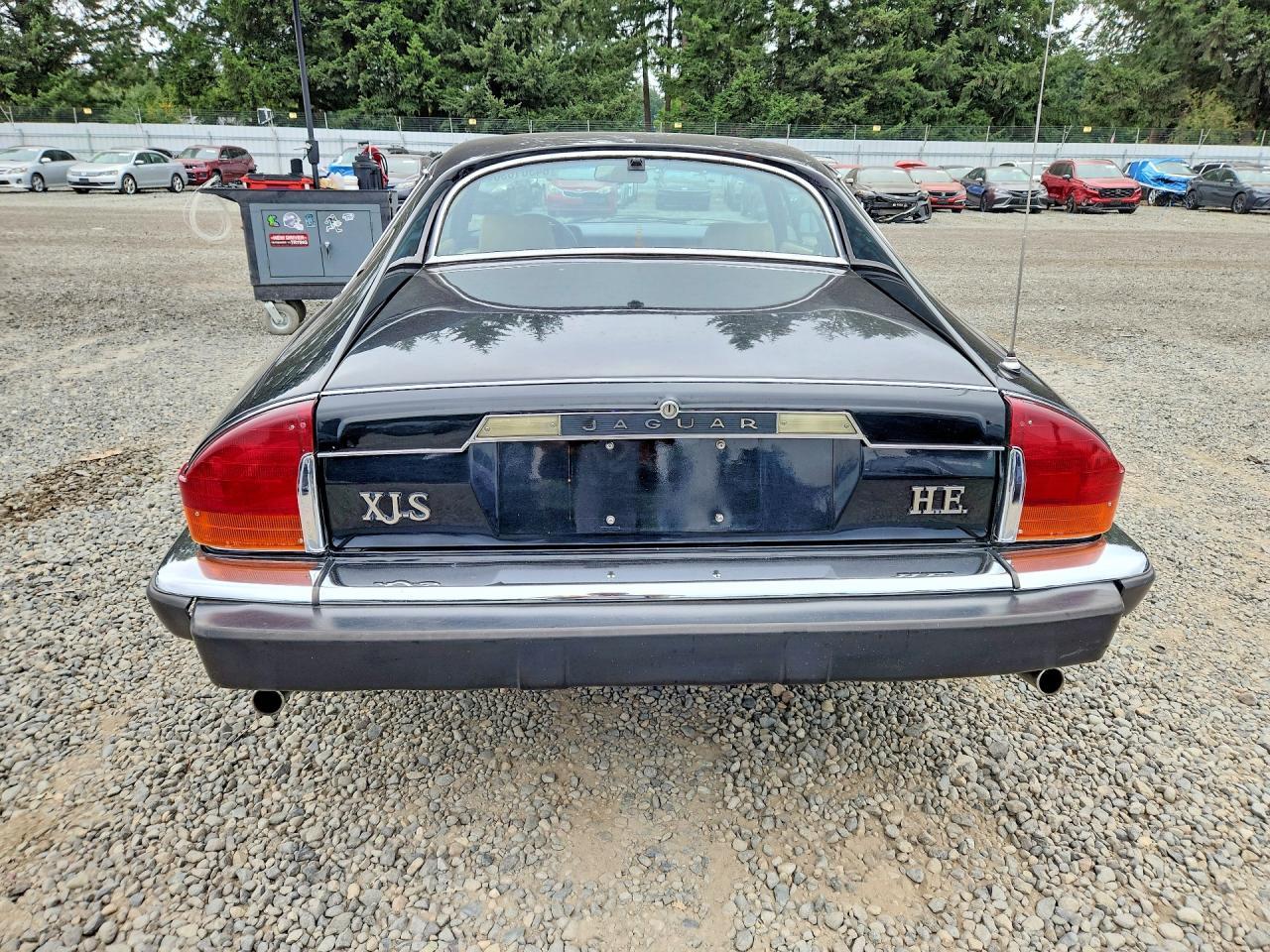 1983 Jaguar Xjs - Image 6