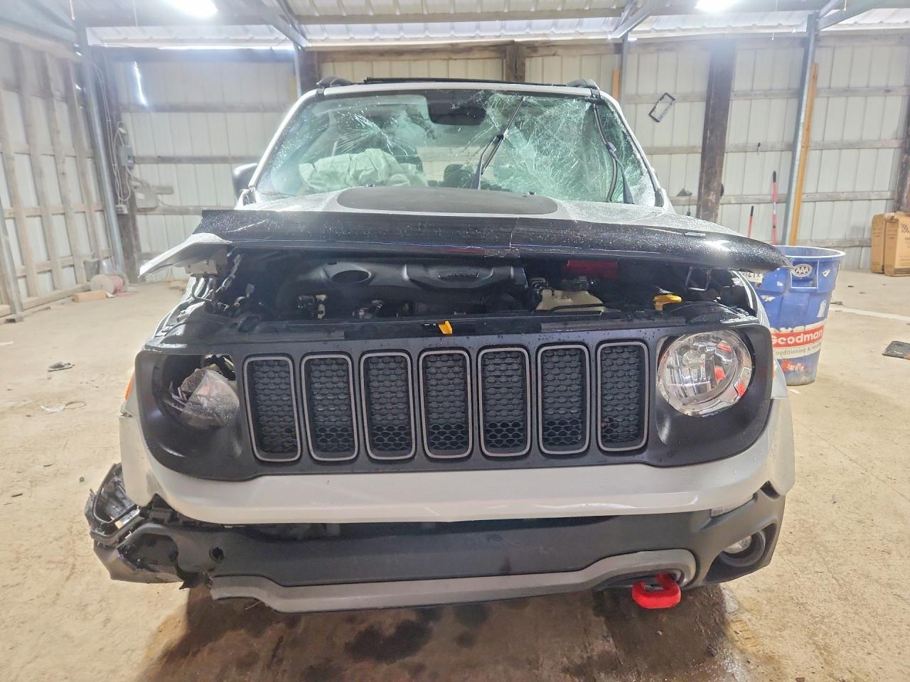 2019 Jeep Renegade Trailhawk - Фото 5