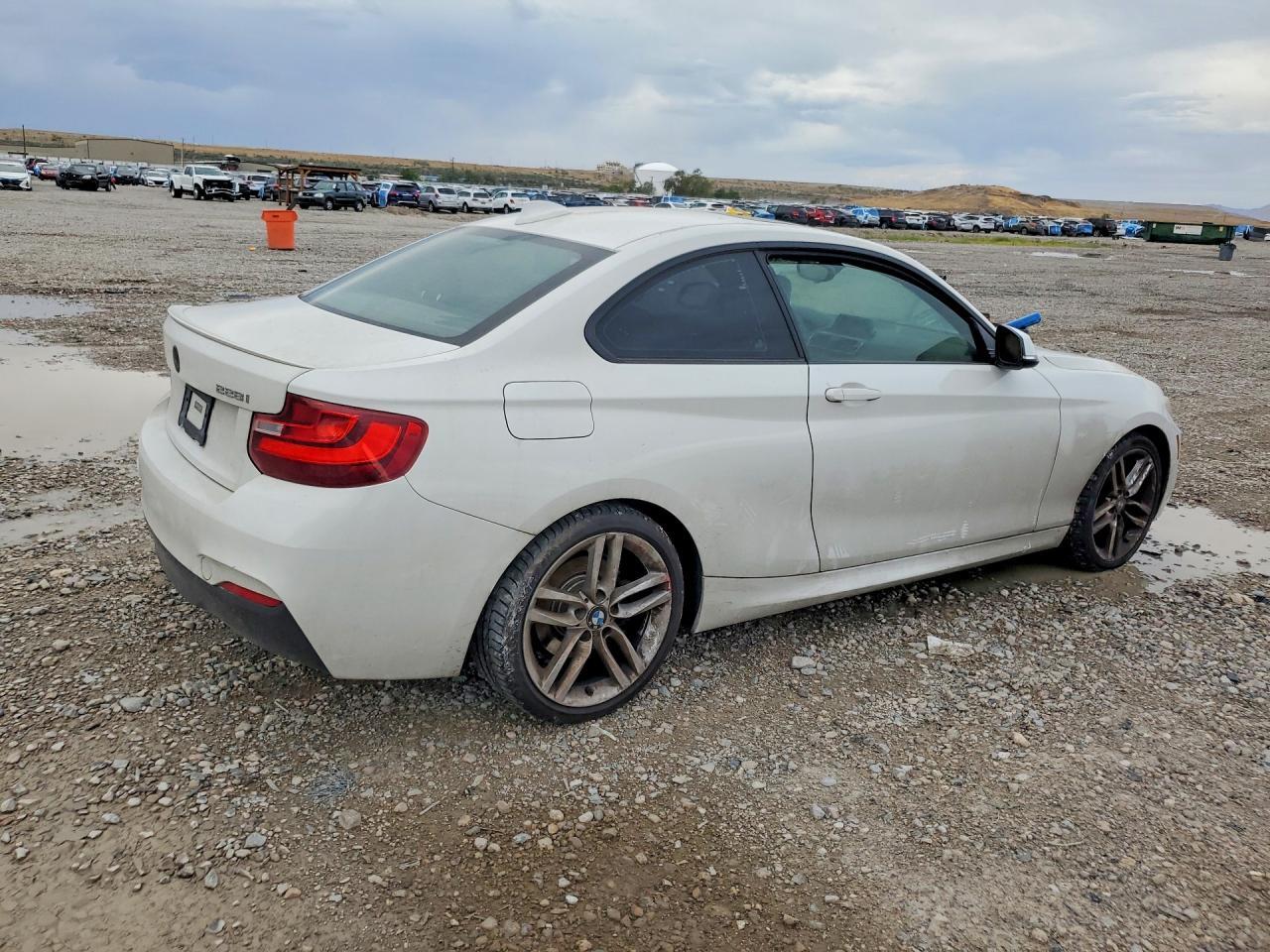 2016 BMW 228 I Sulev - Фото 3