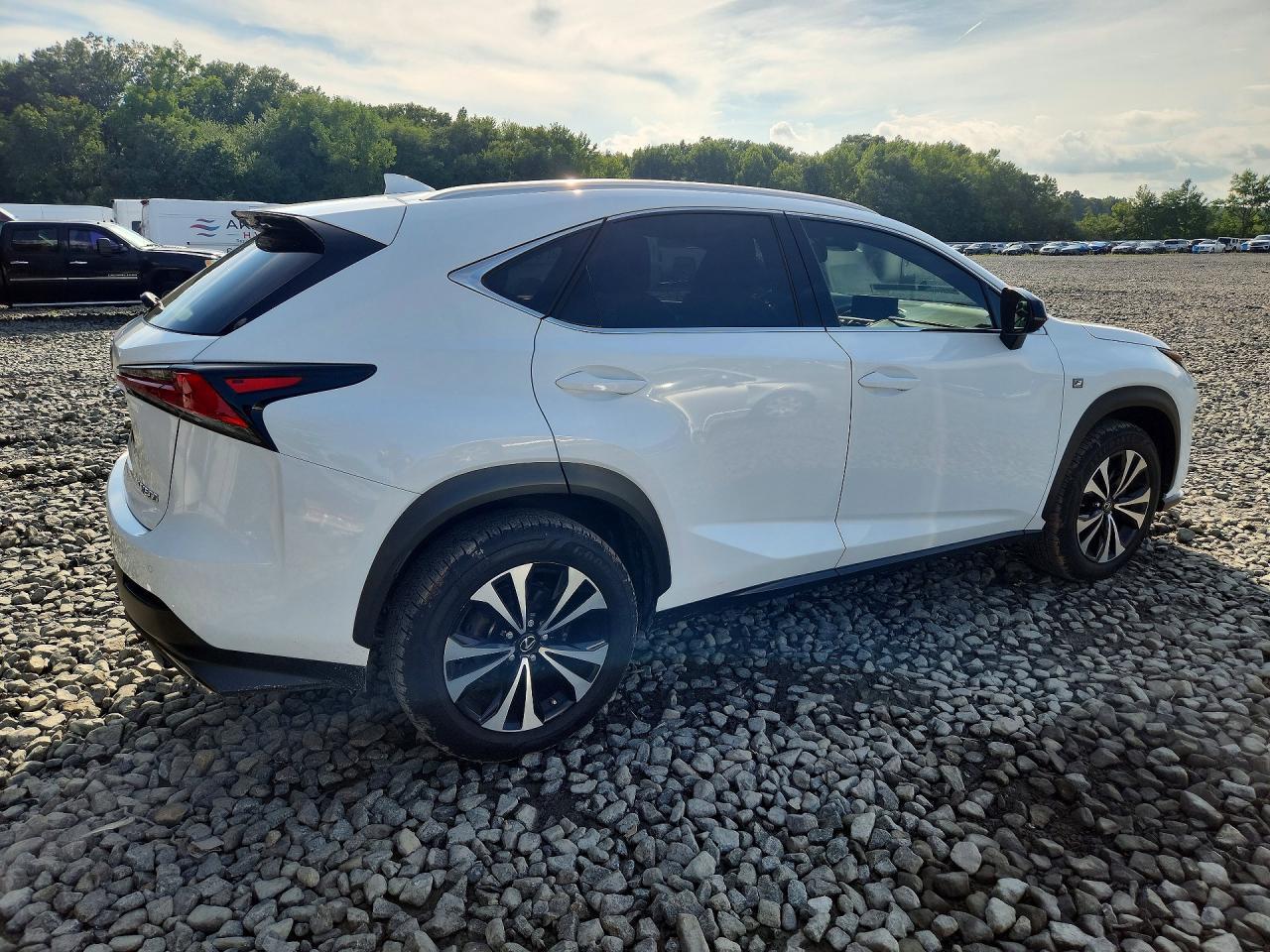 2021 Lexus Nx 300 F Sport - Фото 3
