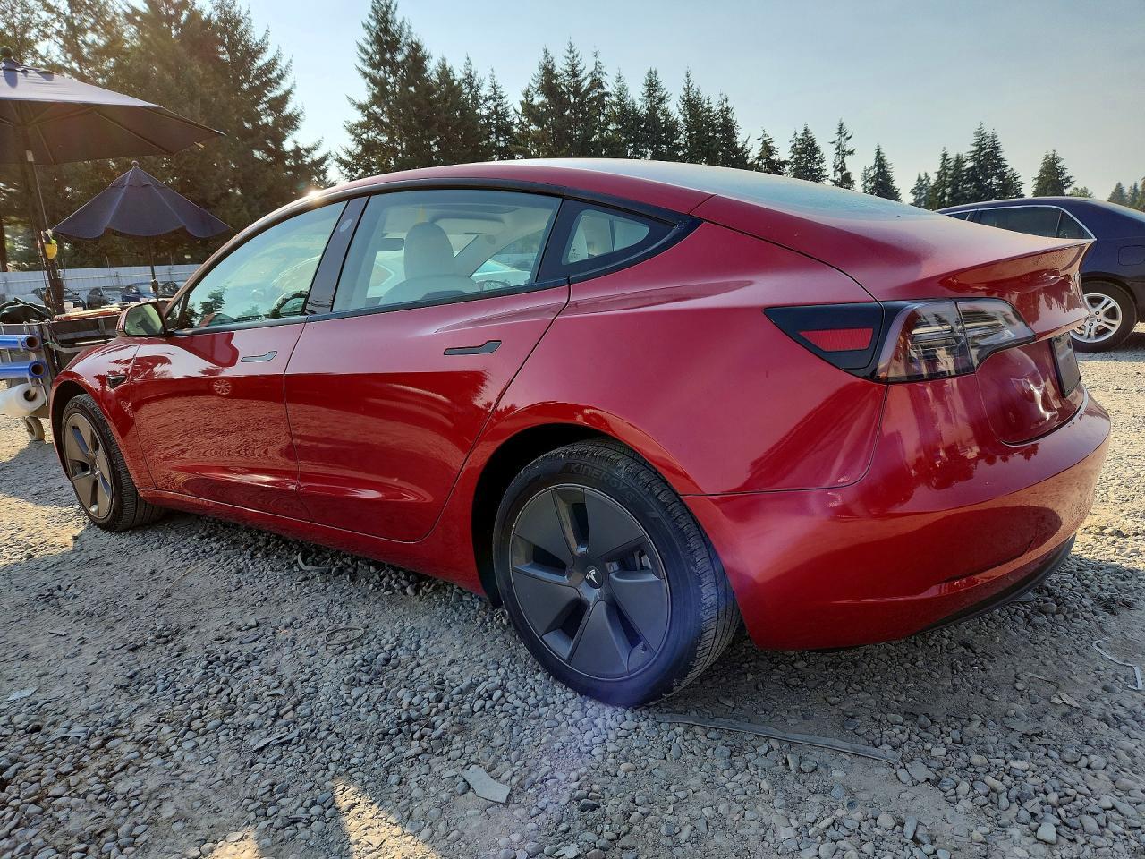 2023 Tesla Model 3 - Фото 2