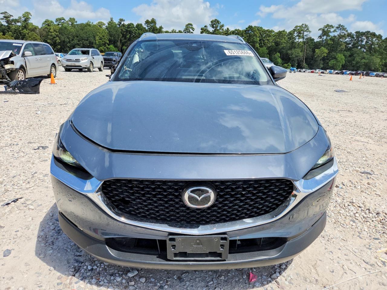 2021 Mazda Cx-30 Premium - Фото 5