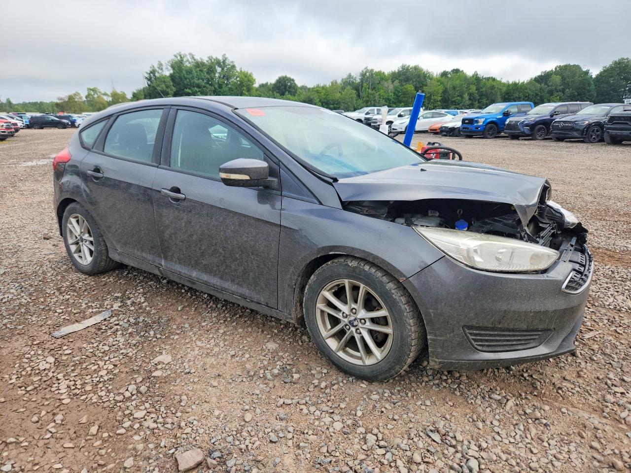 2016 Ford Focus Se - Фото 4