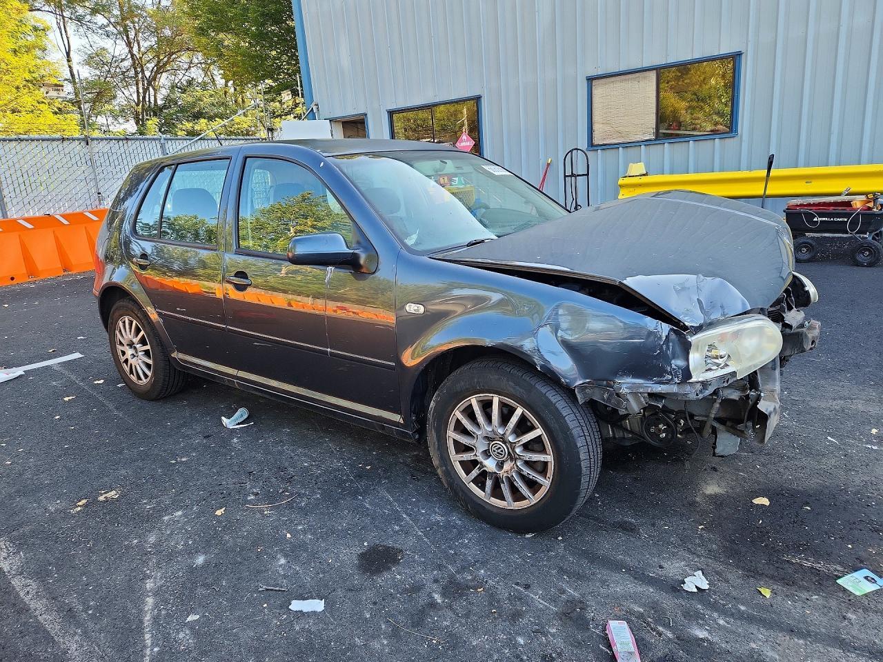 2004 Volkswagen Golf Gls - Image 4