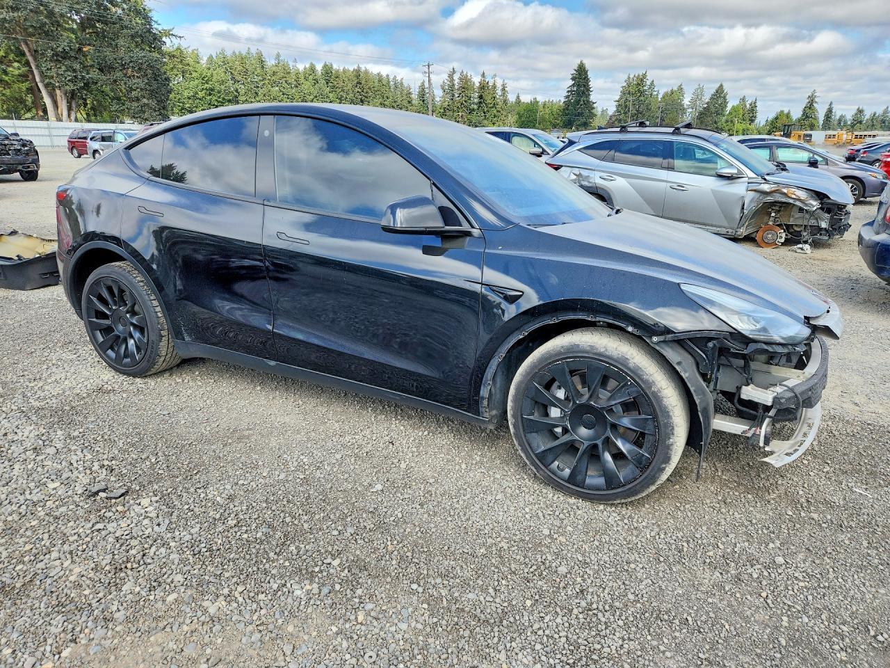 2022 Tesla Model Y - Фото 4