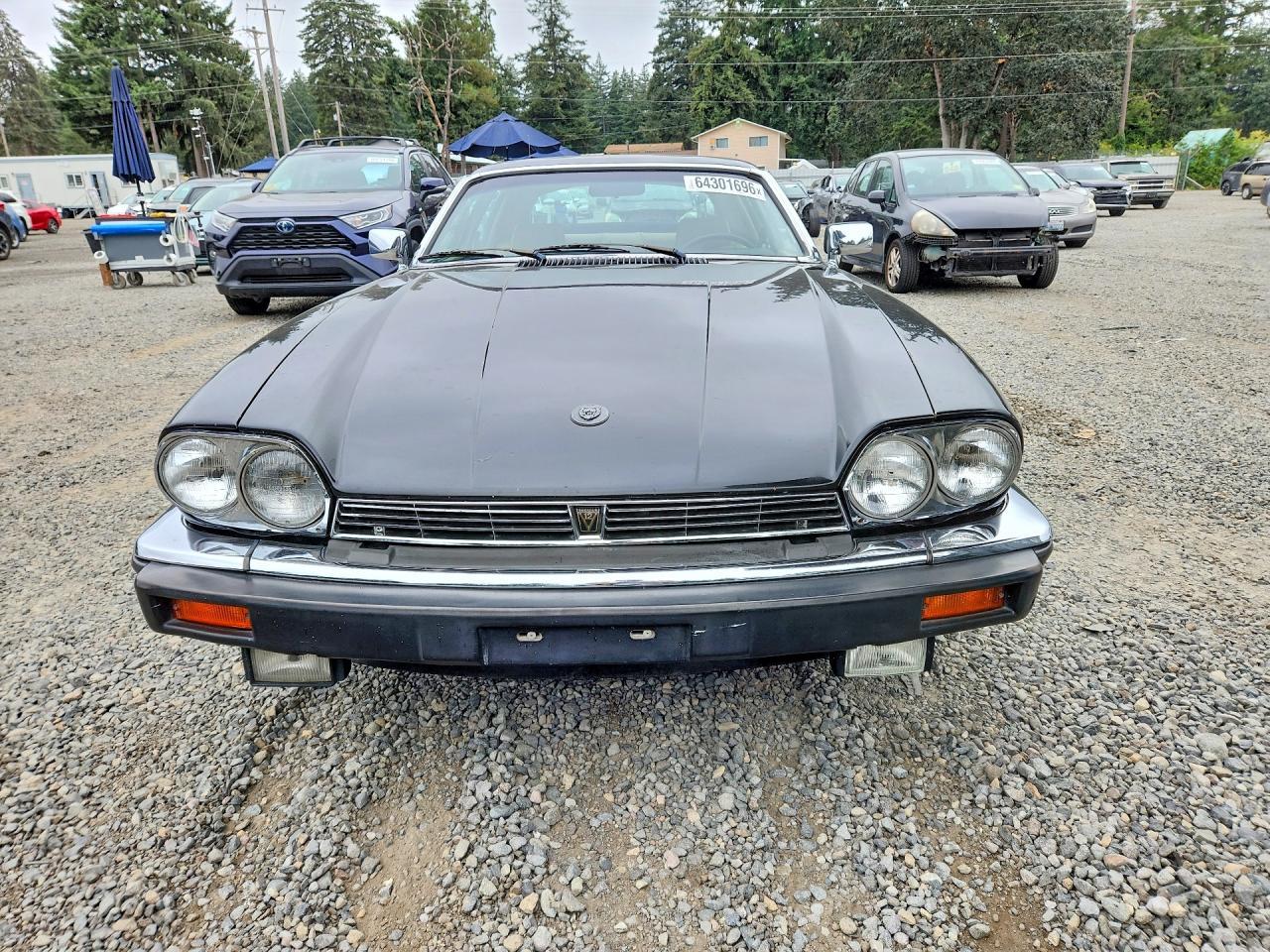 1983 Jaguar Xjs - Image 5