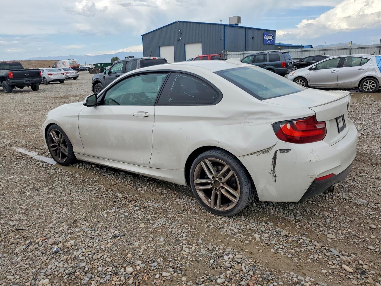 2016 BMW 228 I Sulev - Фото 2