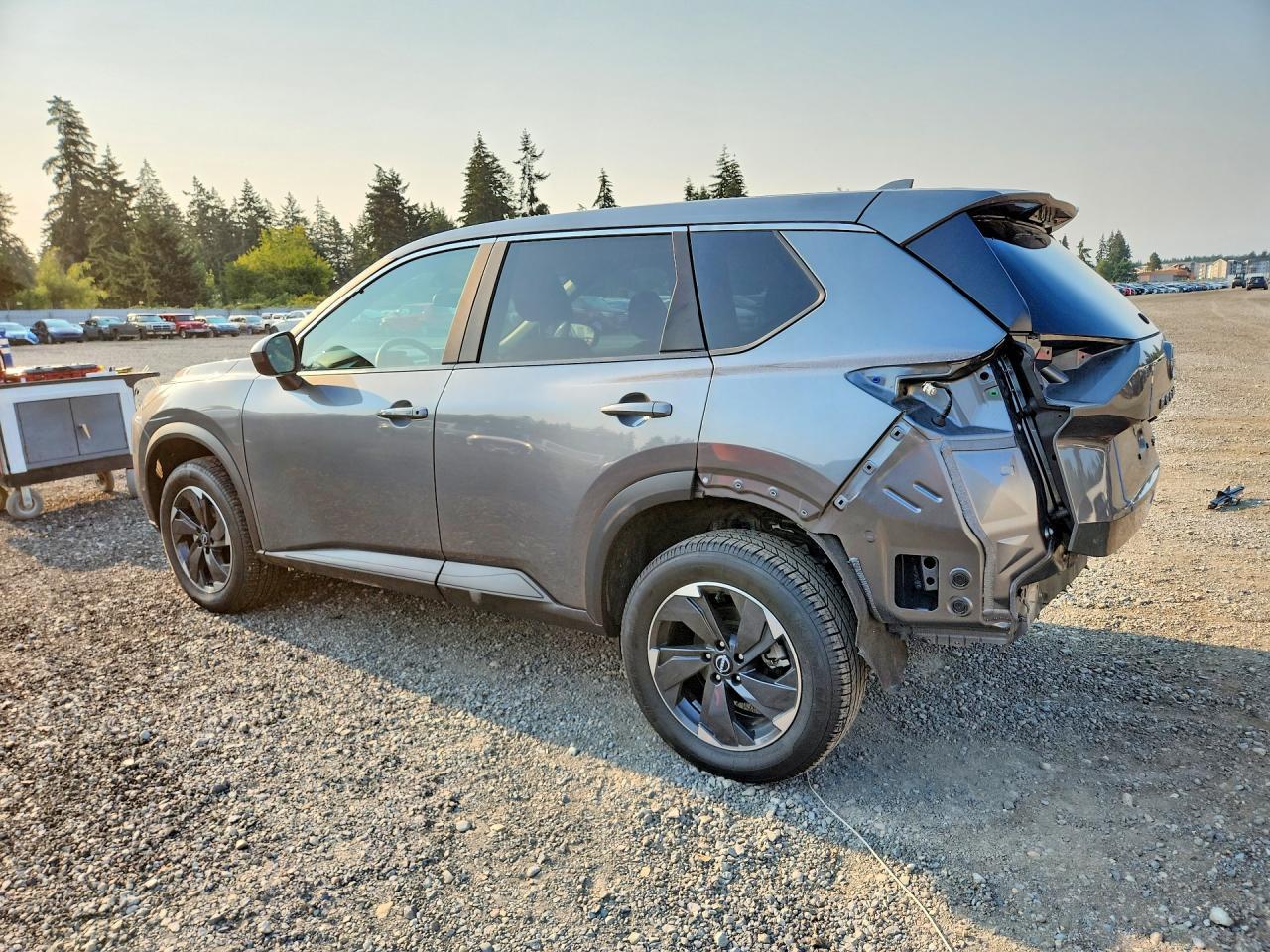 2024 Nissan Rogue Sv - Фото 2