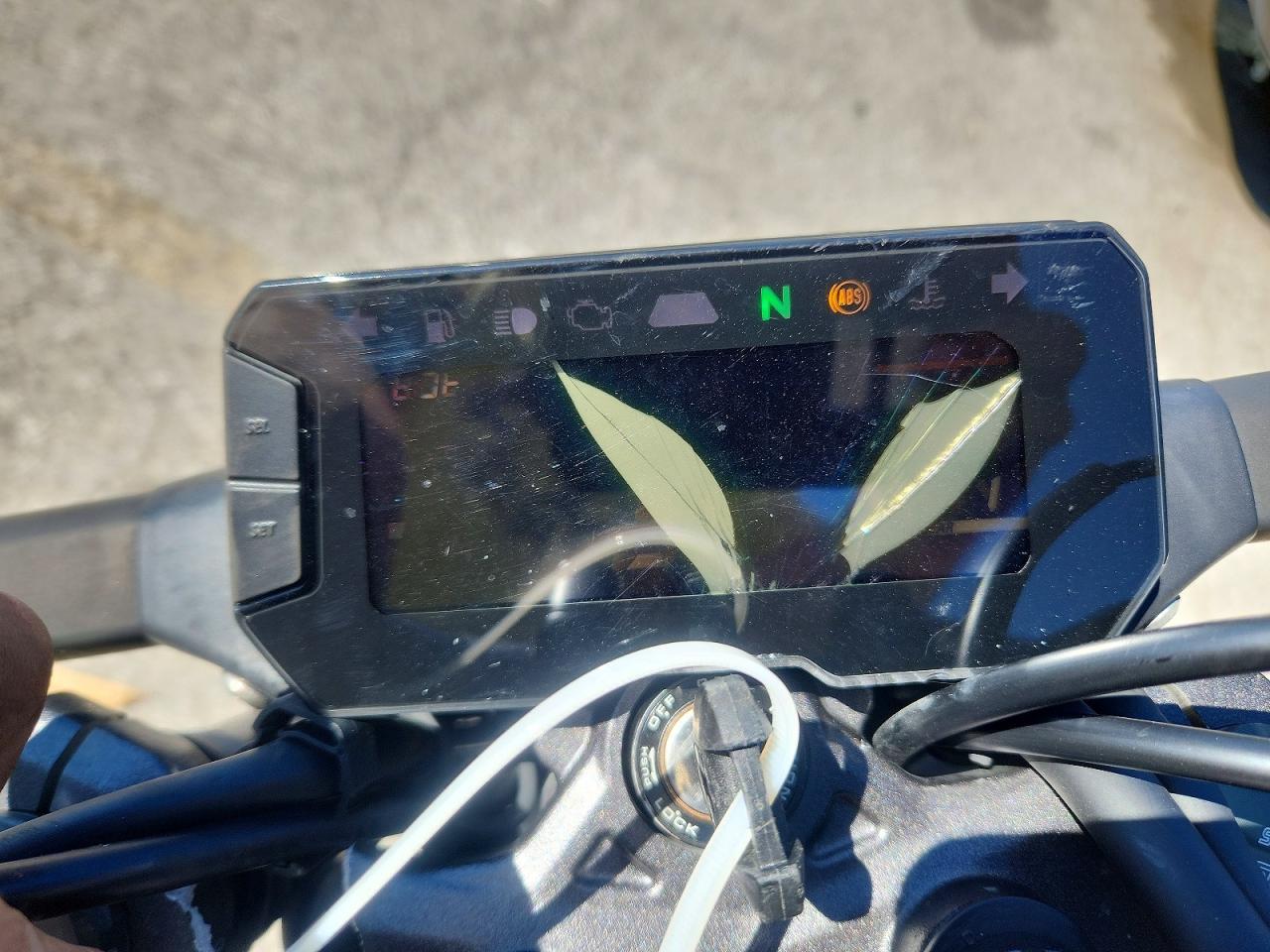 2023 Honda Cbf300 Na - Image 7