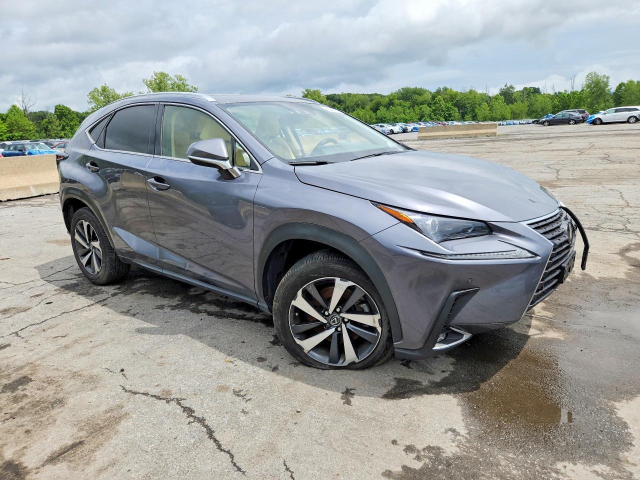 2020 Lexus Nx 300 - Image 4