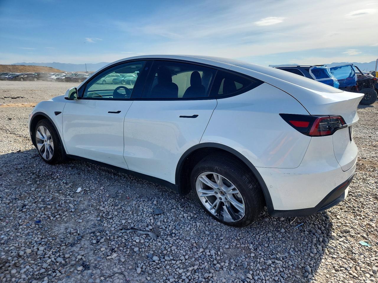 2022 Tesla Model Y - Фото 2