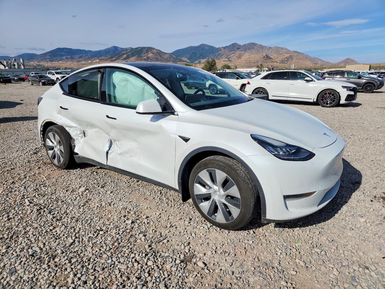 2022 Tesla Model Y - Фото 4