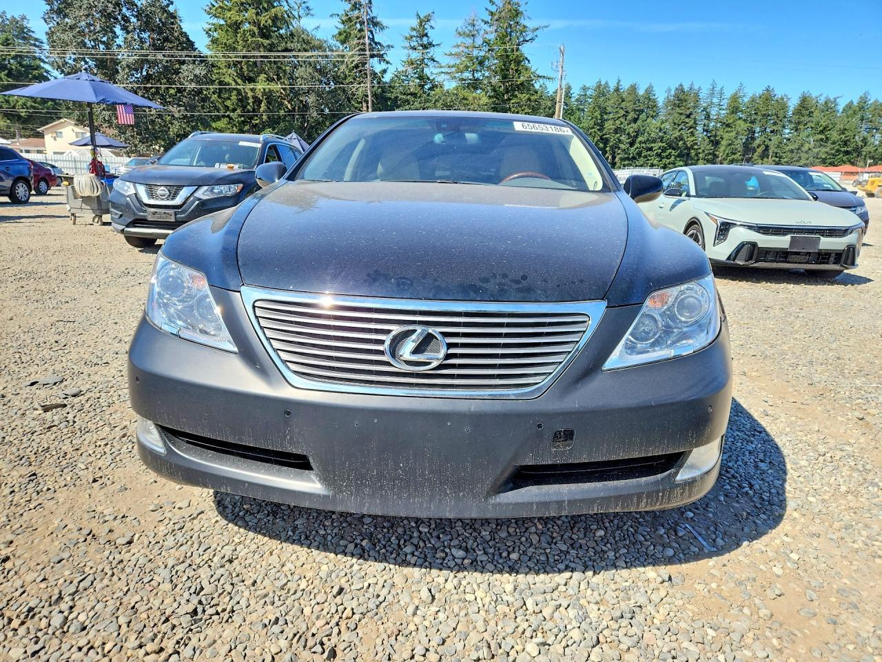 2009 Lexus Ls 460 - Фото 5