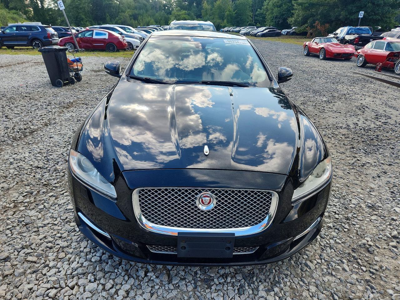 2014 Jaguar Xjl Portfolio - Фото 5