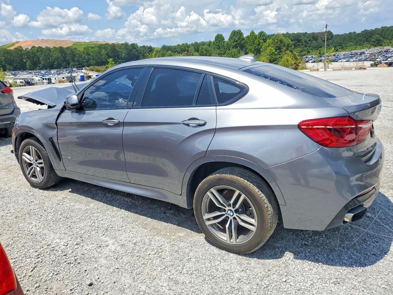 2019 BMW X6 xDrive35I - Фото 2