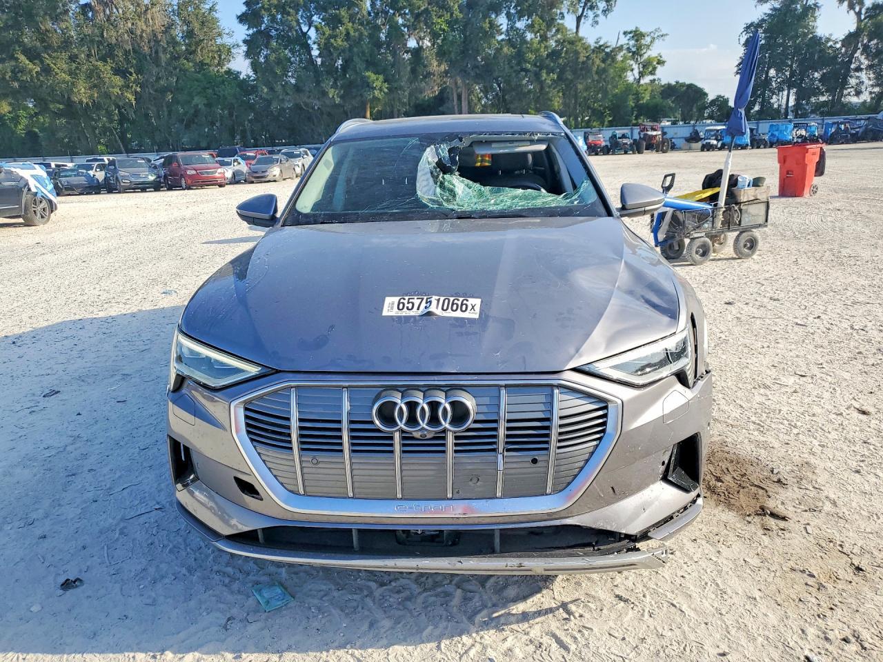 2019 Audi E-Tron Premium Plus - Фото 5