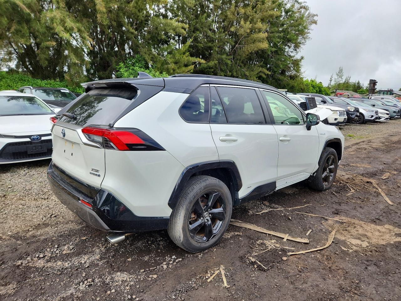 2020 Toyota Rav4 Xse - Фото 3