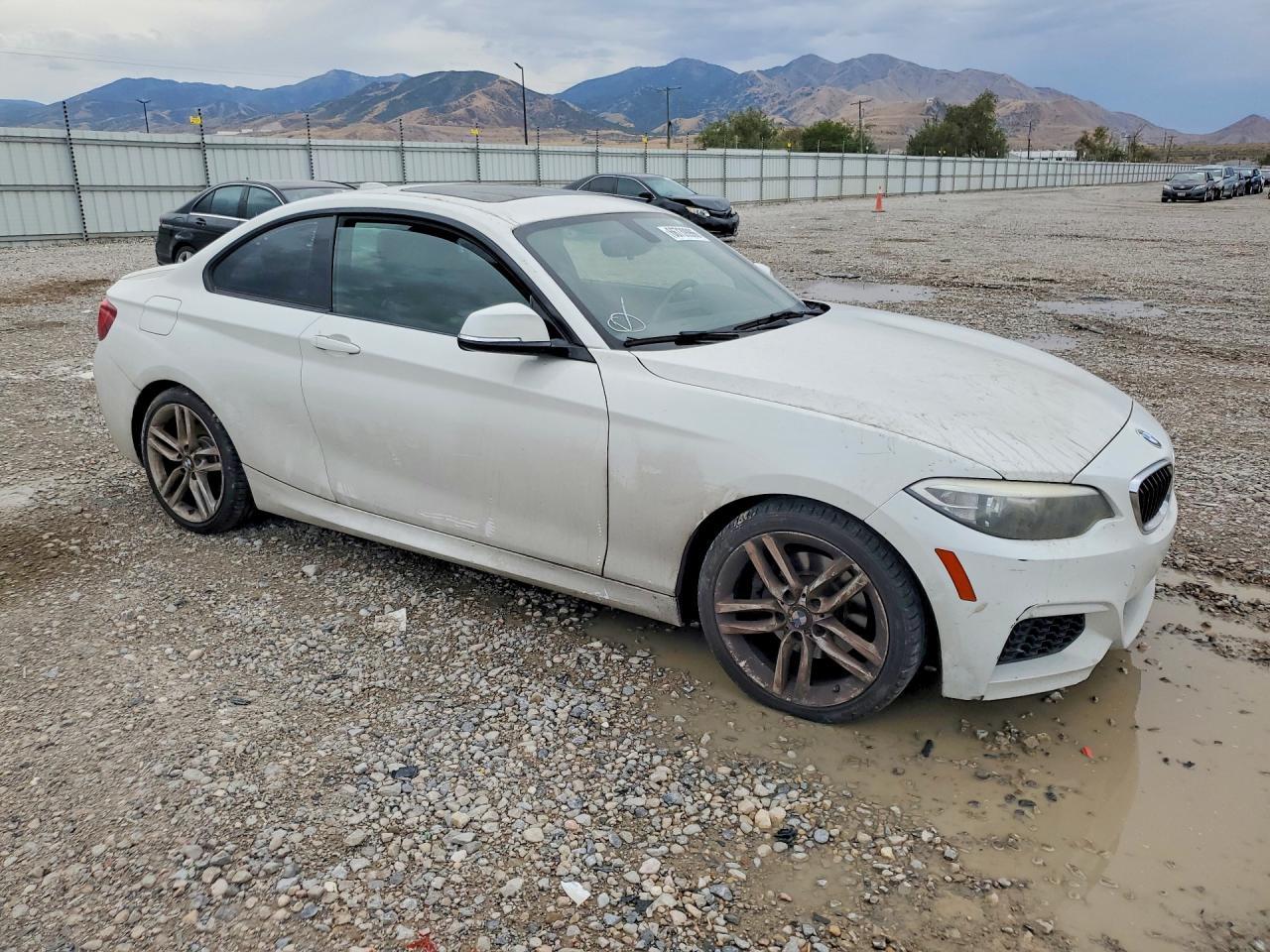 2016 BMW 228 I Sulev - Фото 4