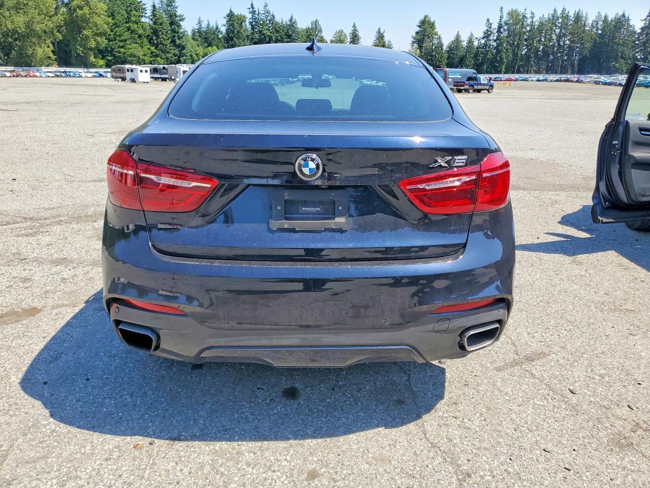 2017 BMW X6 xDrive35I - Фото 6