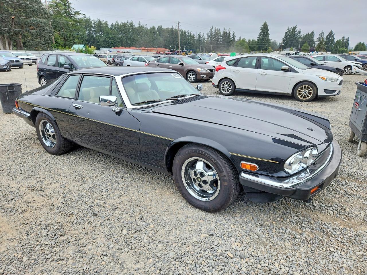 1983 Jaguar Xjs - Image 4