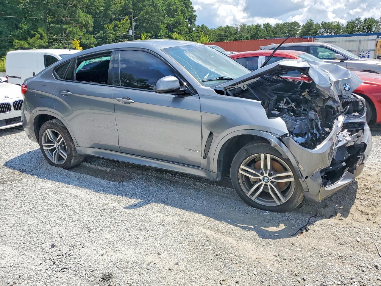 2019 BMW X6 xDrive35I - Фото 4
