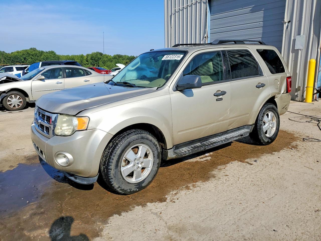 2010 Ford Escape Xlt
