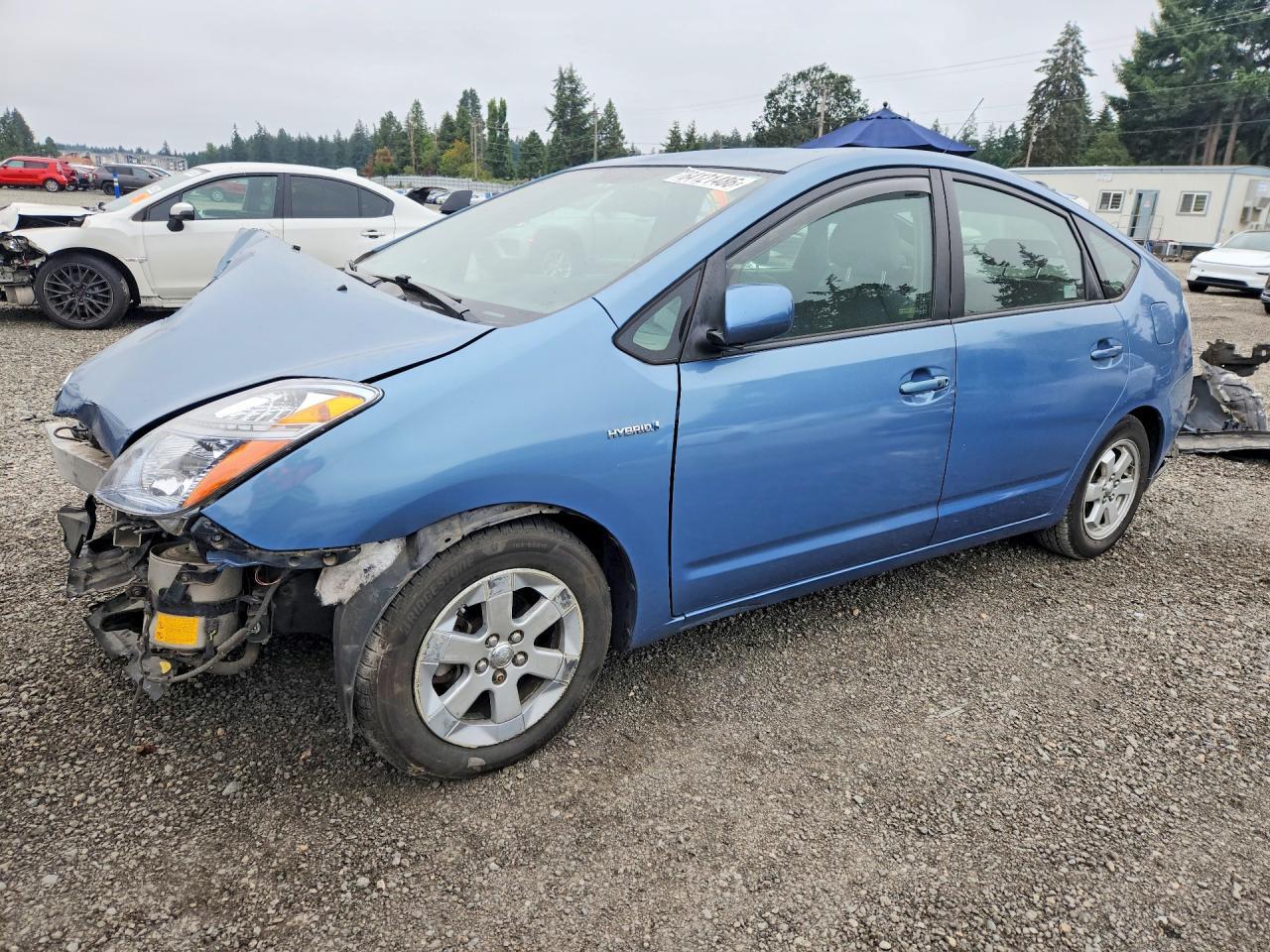 lot