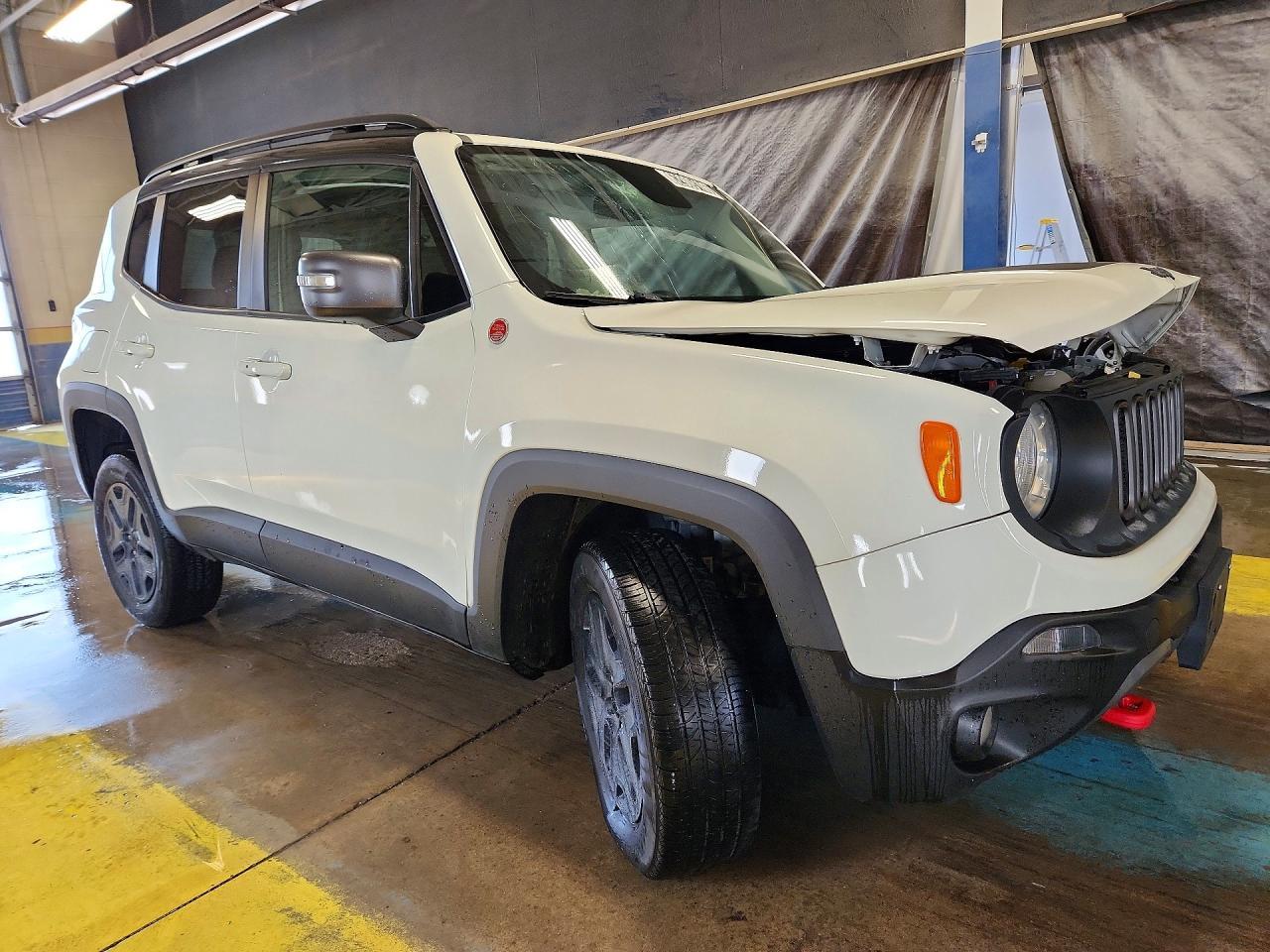 2018 Jeep Renegade Trailhawk - Фото 4