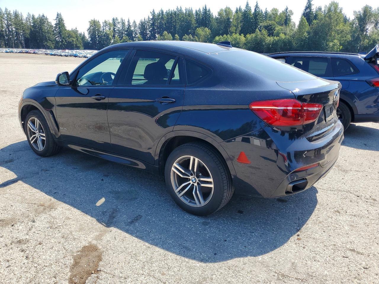2017 BMW X6 xDrive35I - Фото 2