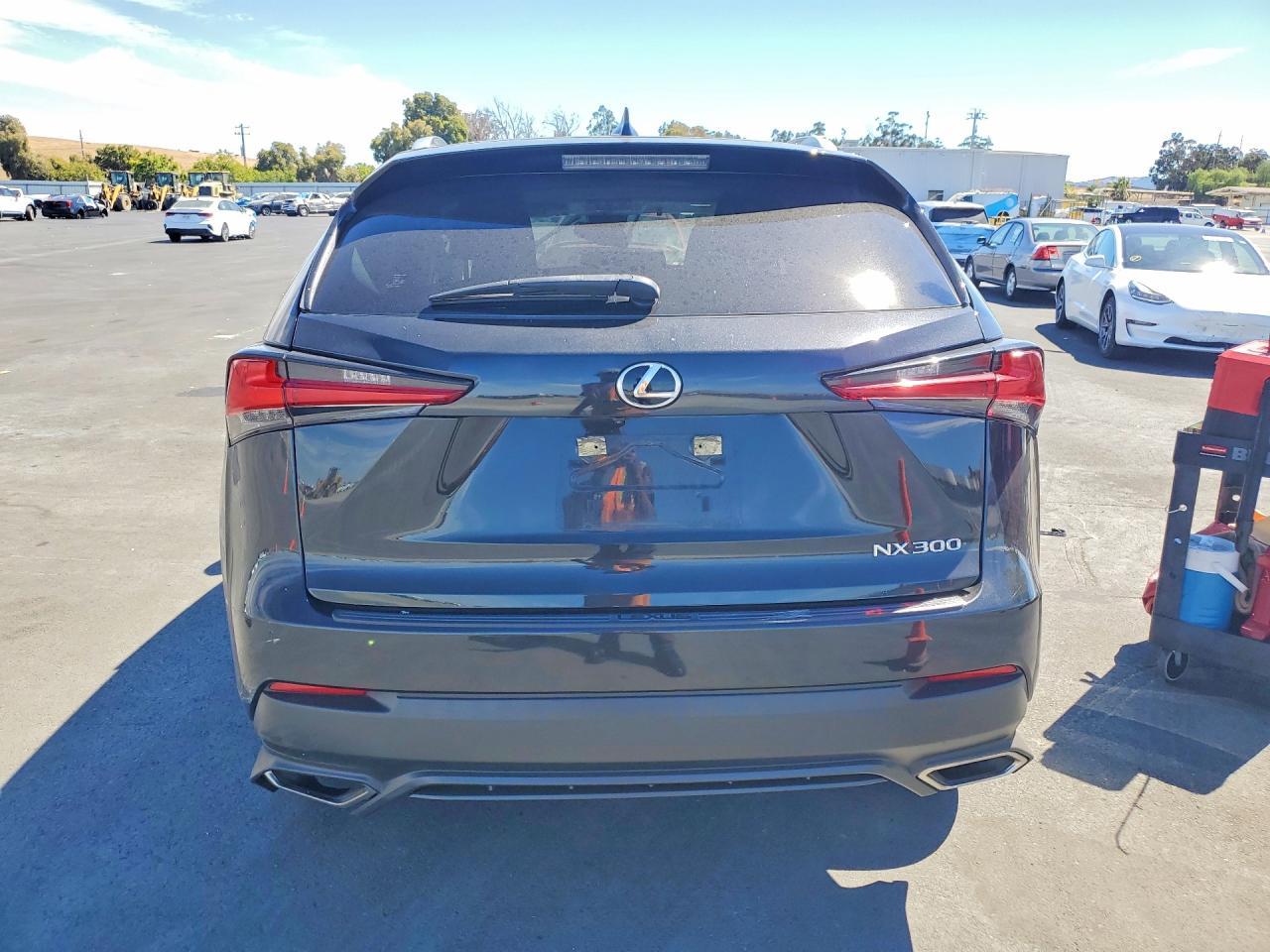 2020 Lexus Nx 300 Base - Фото 6