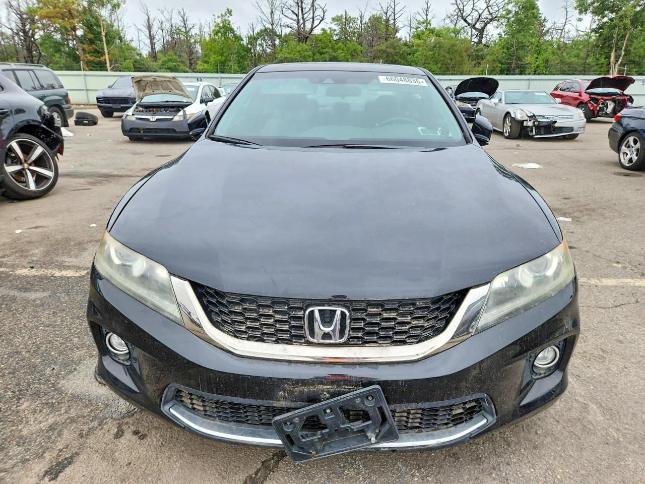 2013 Honda Accord Exl - Image 5