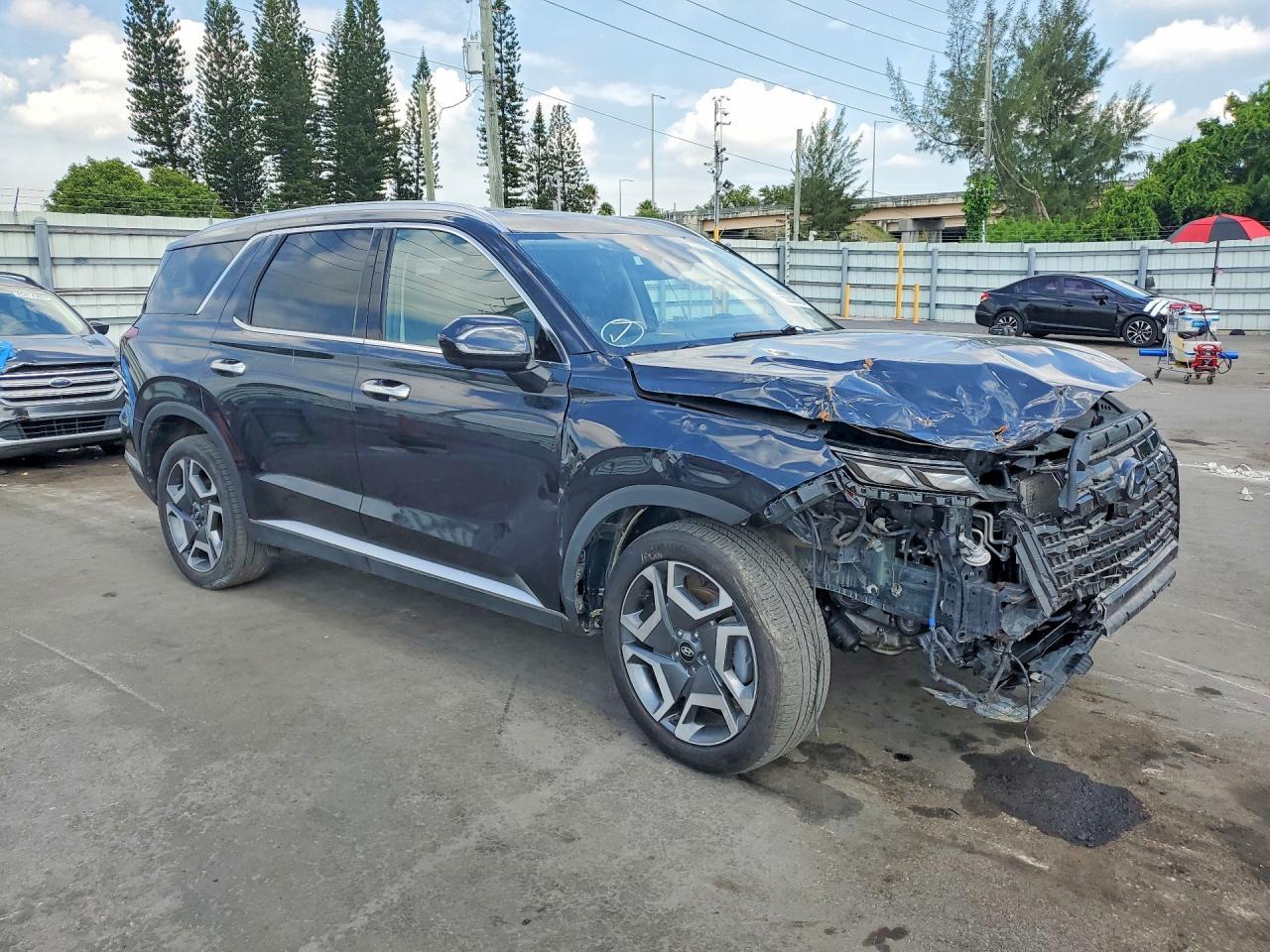 2024 Hyundai Palisade Sel Premium - Фото 4