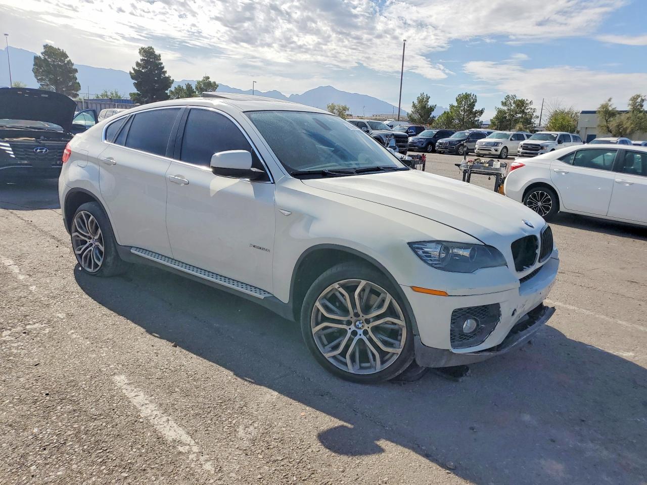 2011 BMW X6 xDrive50I - Фото 4