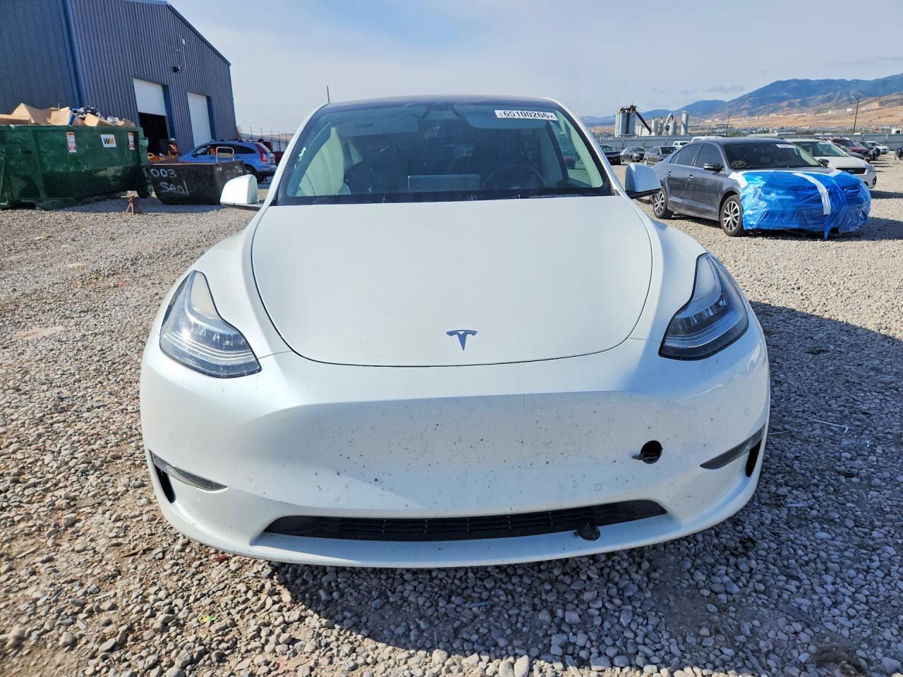 2022 Tesla Model Y - Фото 5