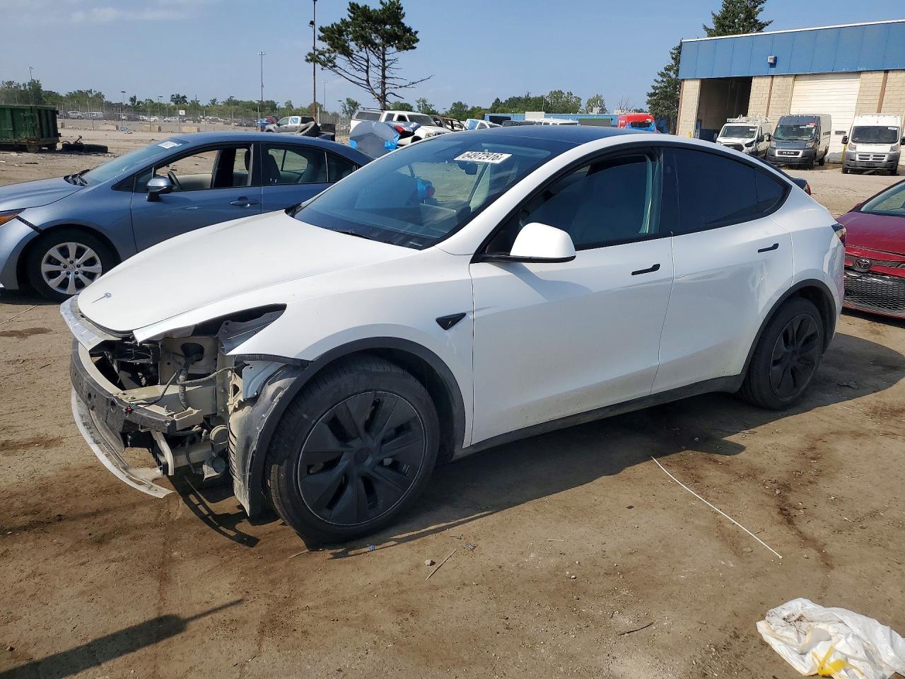 2024 Tesla Model Y