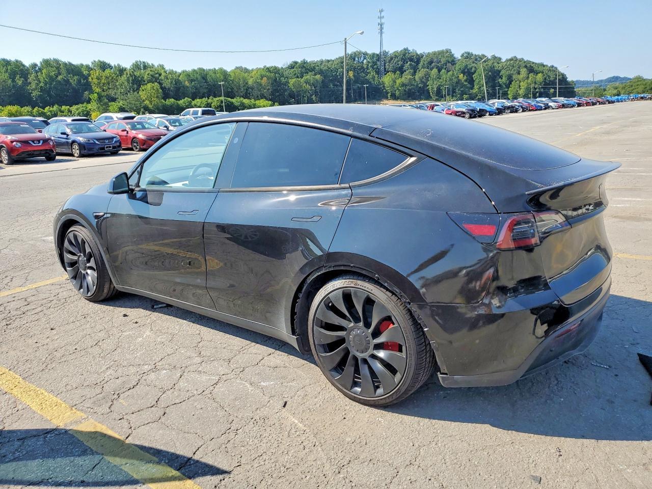 2023 Tesla Model Y - Фото 2