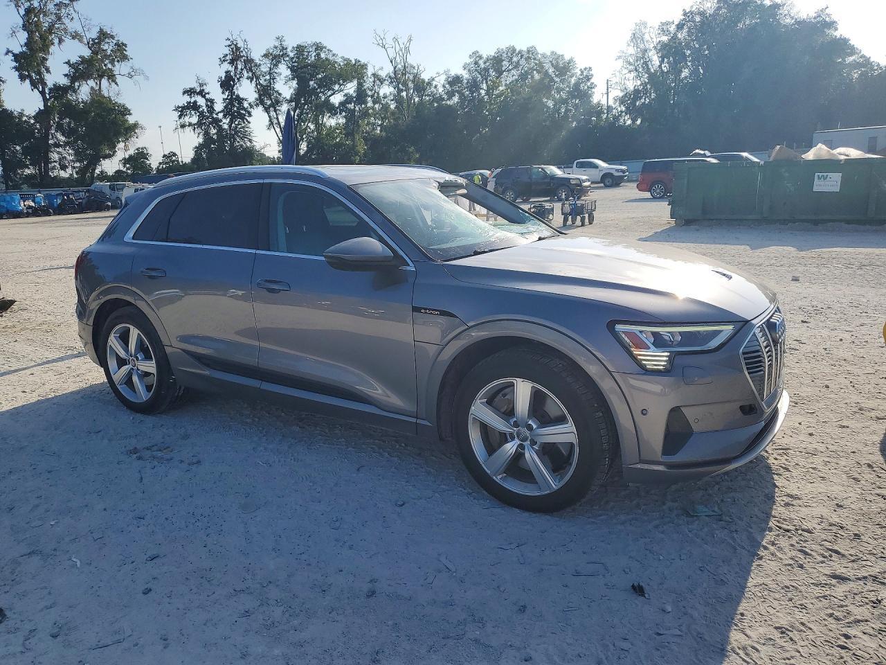 2019 Audi E-Tron Premium Plus - Фото 4