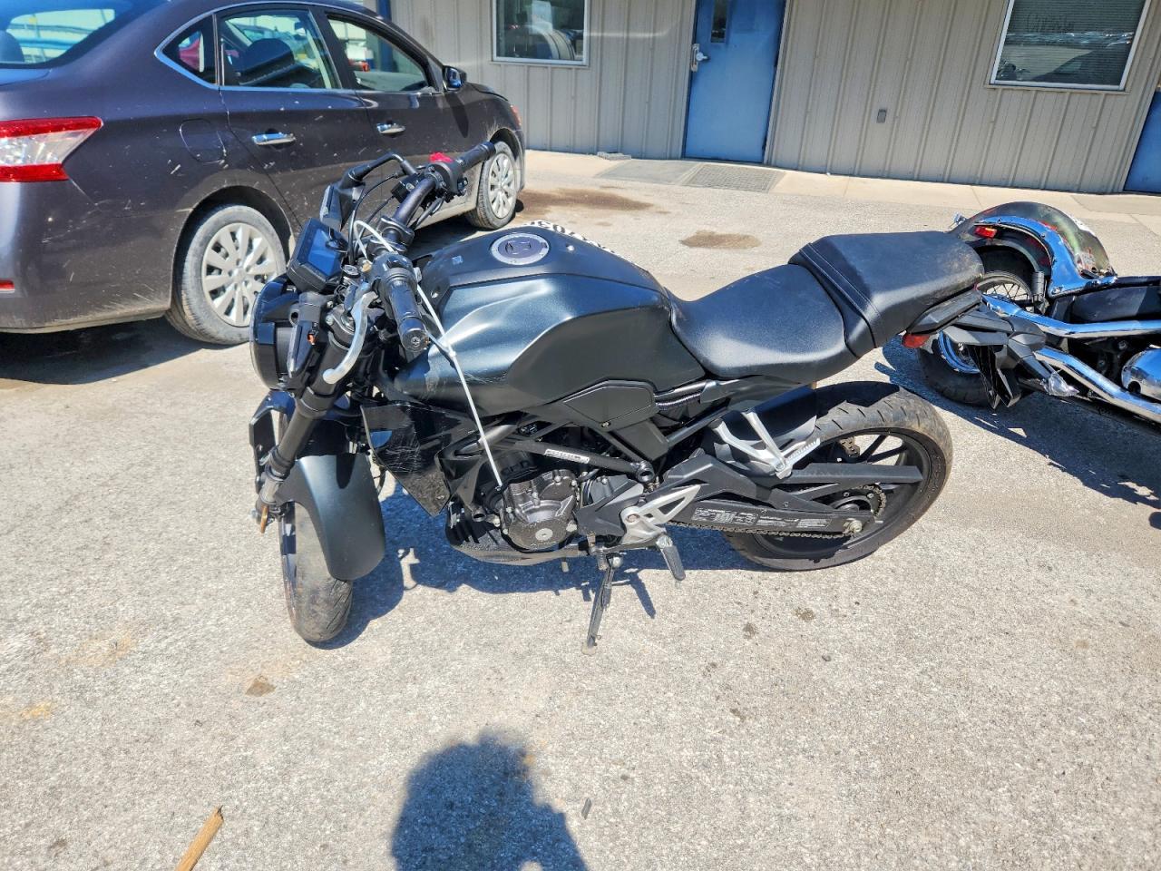 2023 Honda Cbf300 Na - Image 3