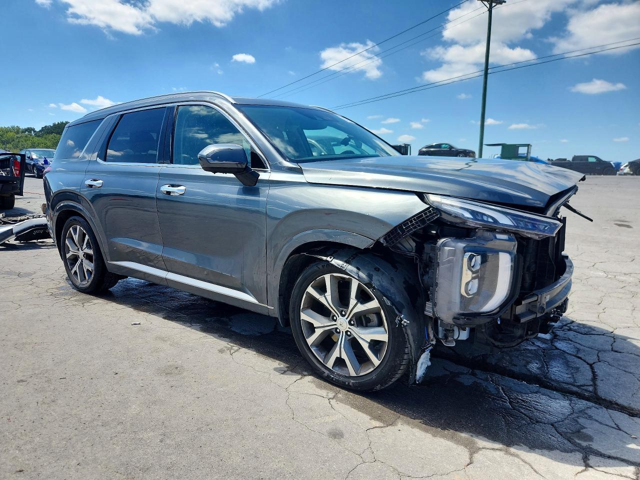 2021 Hyundai Palisade Limited - Фото 4