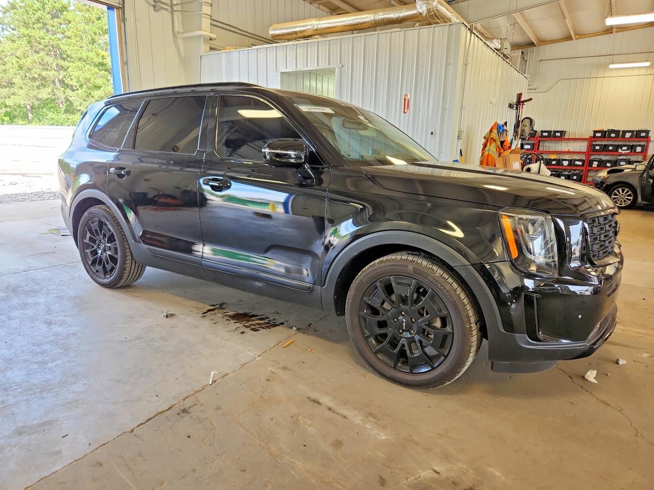 2022 Kia Telluride Sx - Image 4