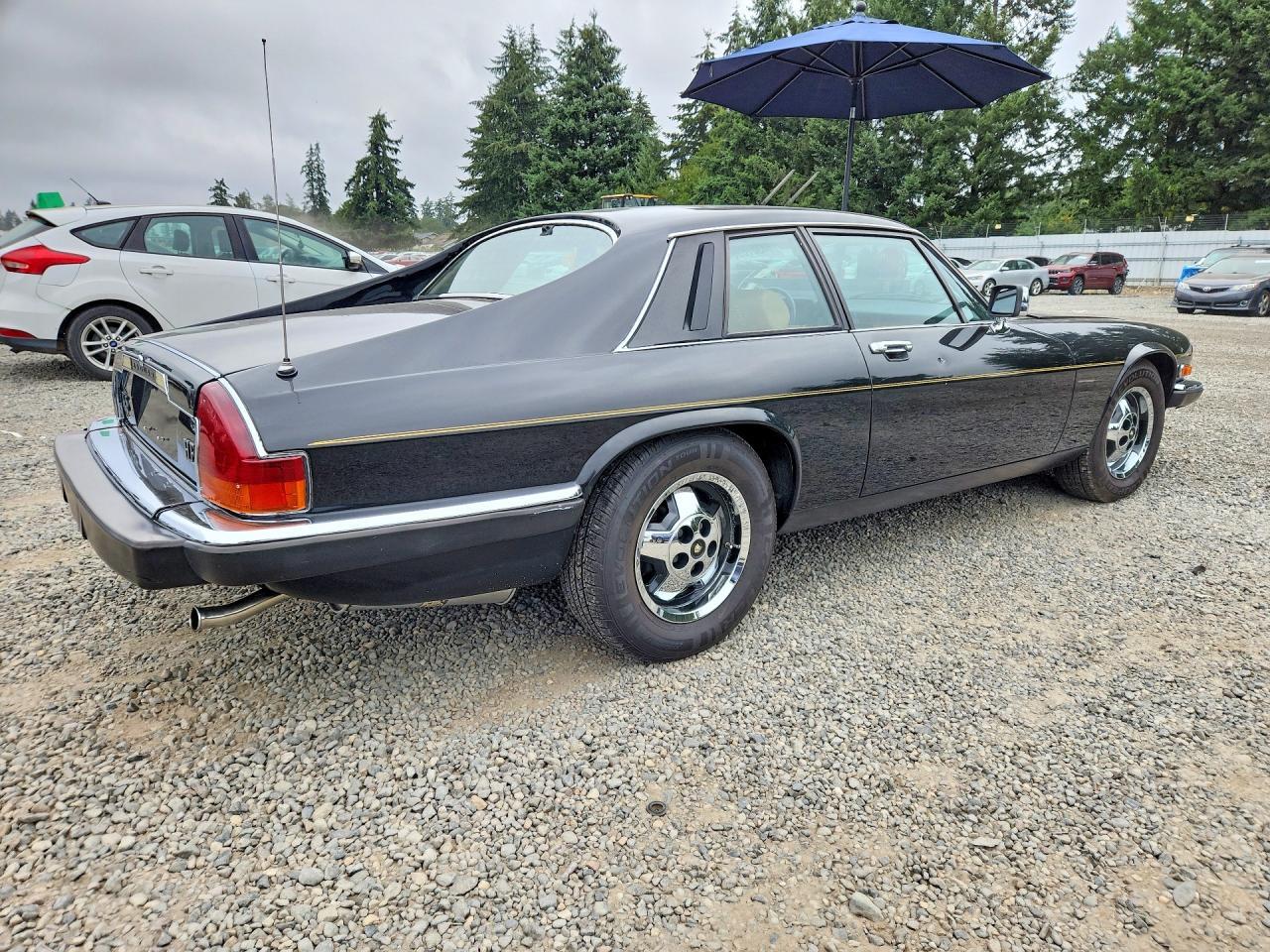 1983 Jaguar Xjs - Image 3