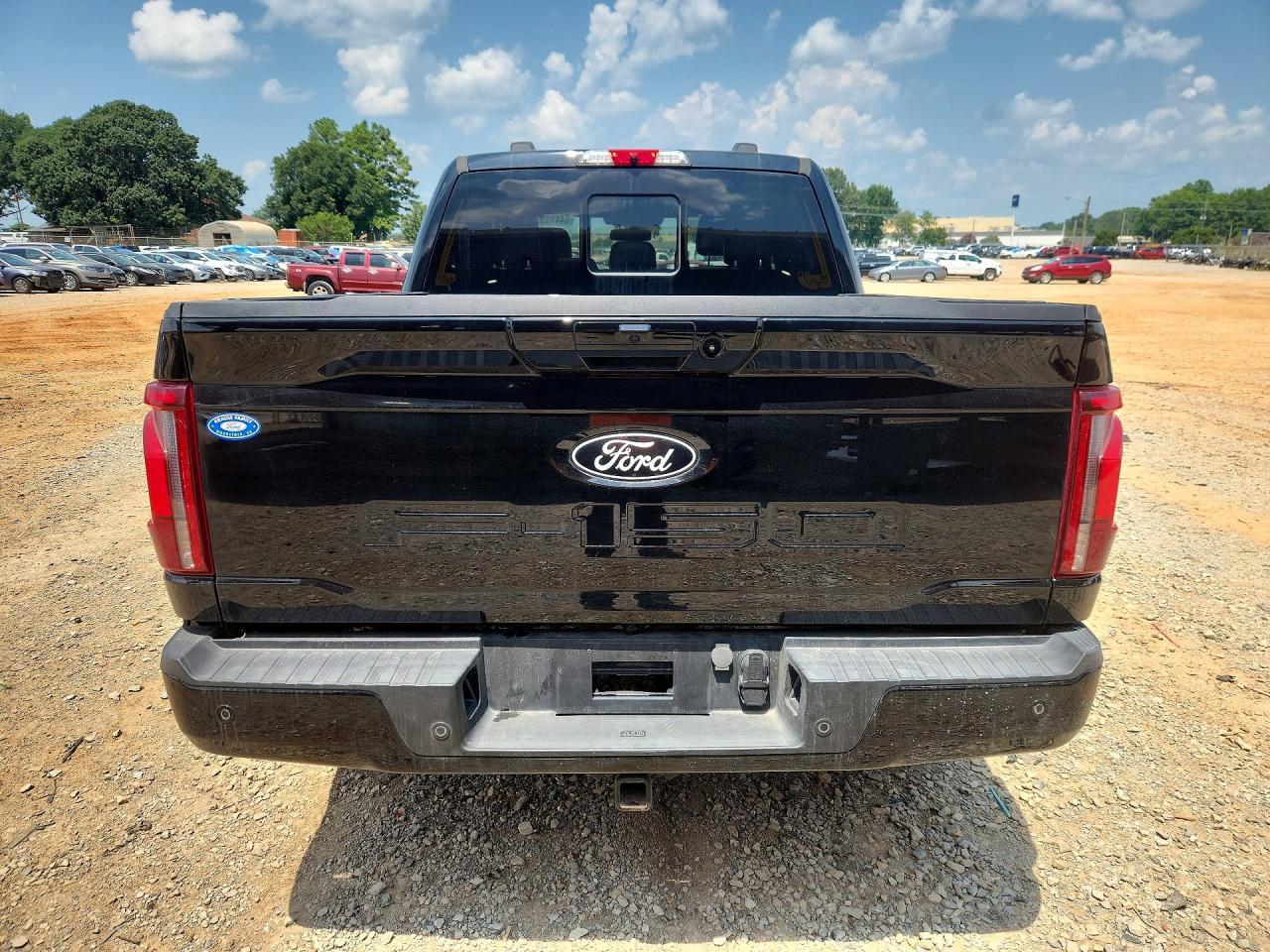 2024 Ford F150 Platinum - Фото 6