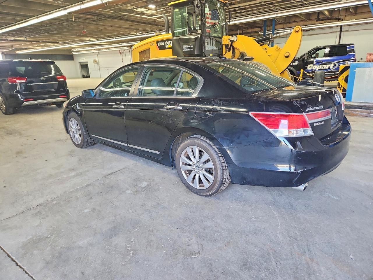 2011 Honda Accord Exl - Фото 2