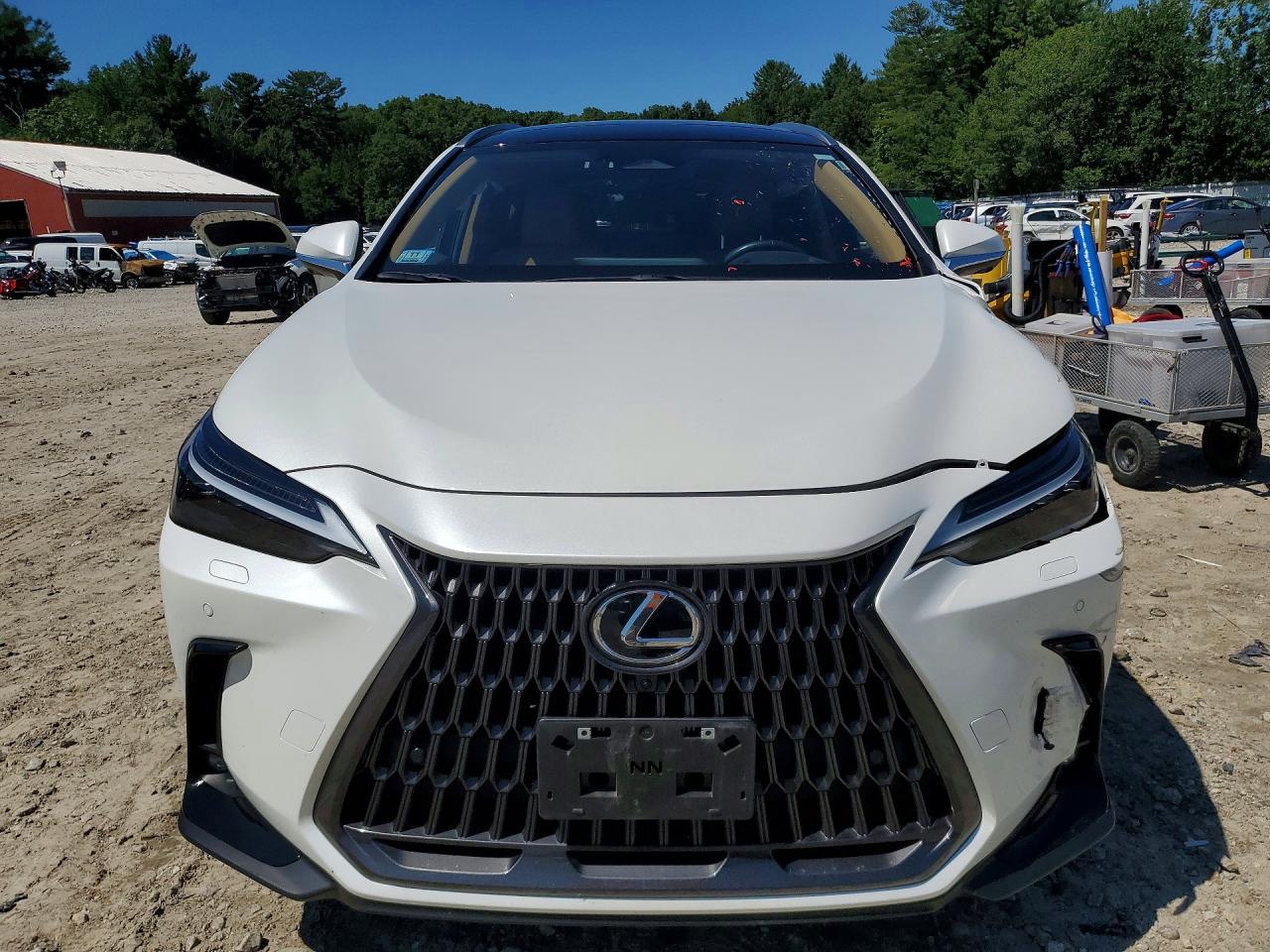 2024 Lexus Nx 350H Luxury - Image 5