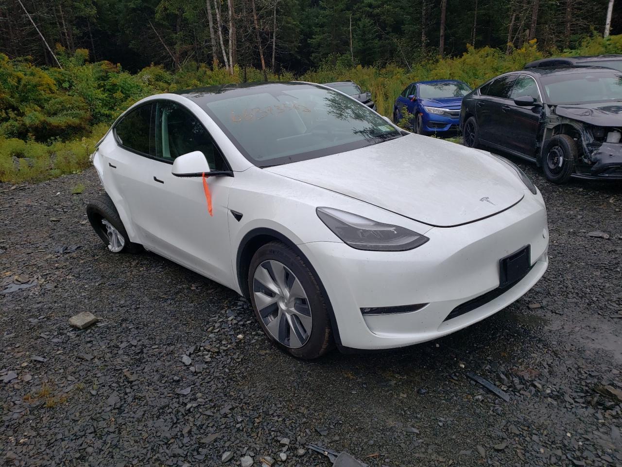 2023 Tesla Model Y - Фото 4