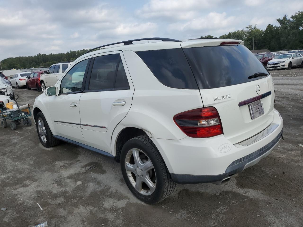 2008 Mercedes-Benz Ml 350 - Фото 2