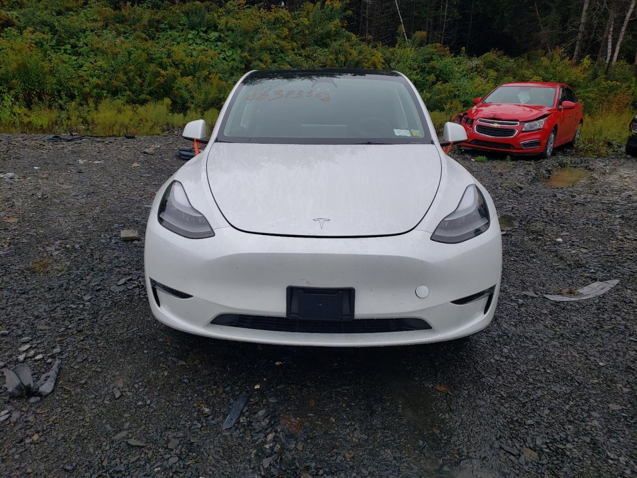 2023 Tesla Model Y - Фото 5