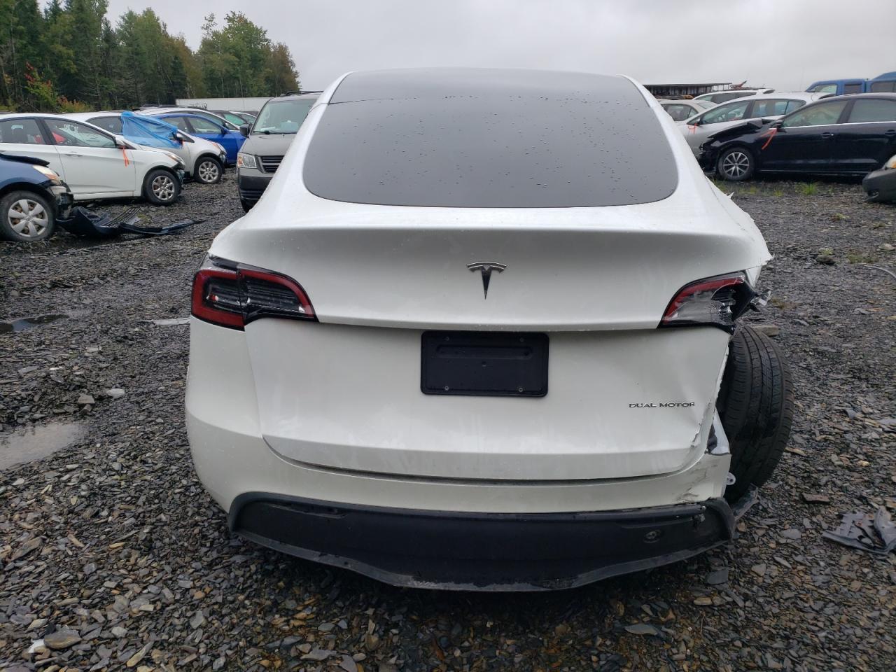 2023 Tesla Model Y - Фото 6