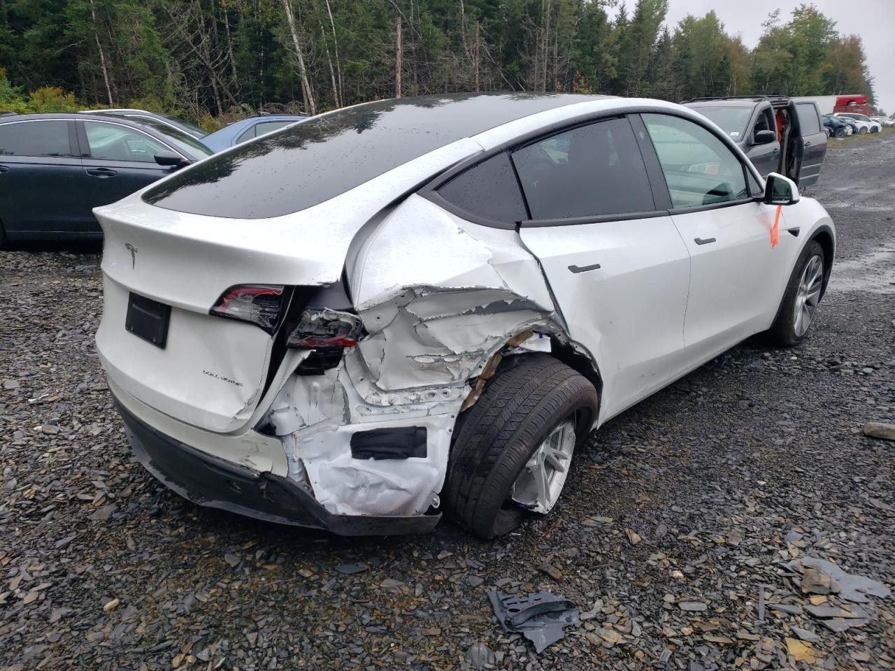 2023 Tesla Model Y - Фото 3