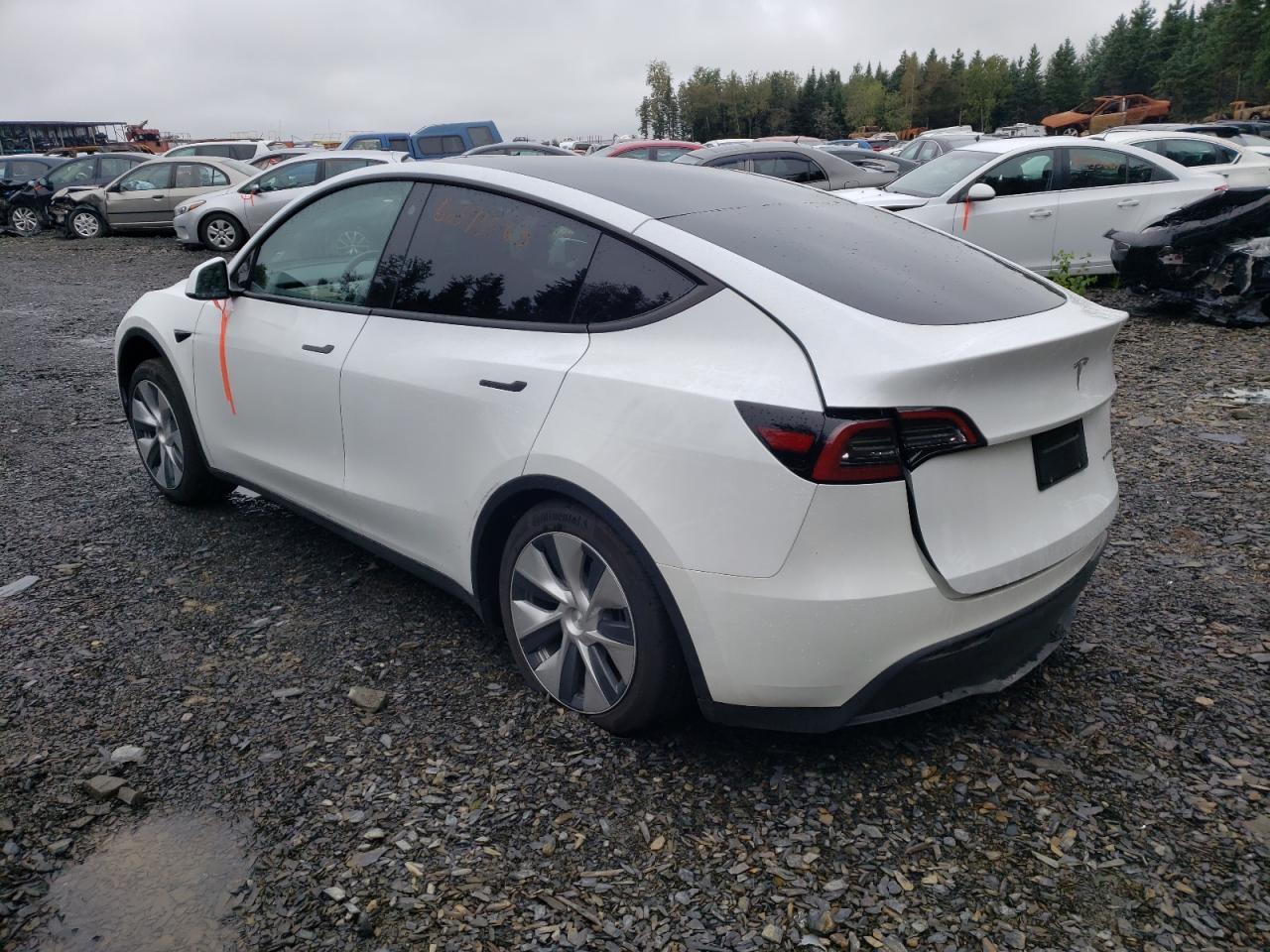 2023 Tesla Model Y - Фото 2